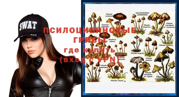 Альфа ПВП Вяземский