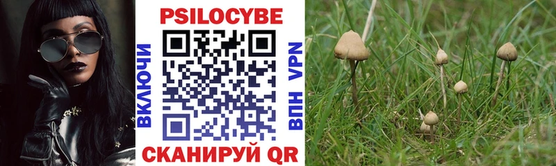 даркнет сайт  Очёр  Псилоцибиновые грибы Magic Shrooms 